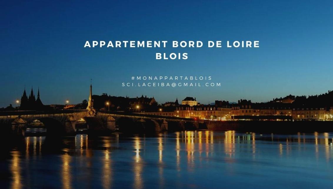 Apartament Duplex 60 M2 Bord De Loire Blois Zewnętrze zdjęcie