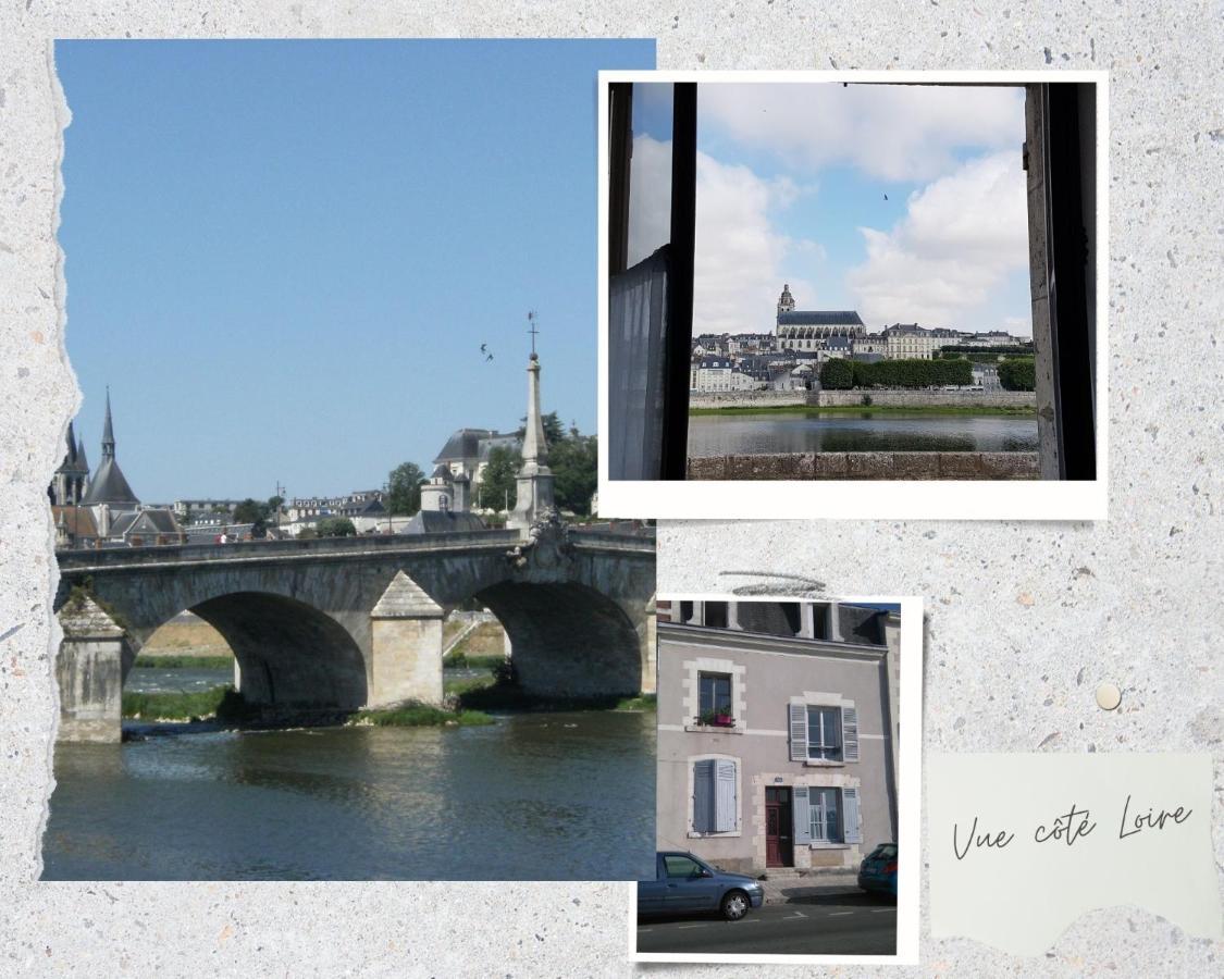 Apartament Duplex 60 M2 Bord De Loire Blois Zewnętrze zdjęcie