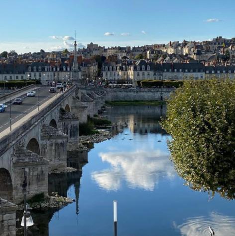Apartament Duplex 60 M2 Bord De Loire Blois Zewnętrze zdjęcie