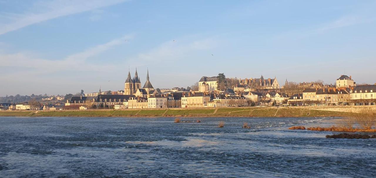Apartament Duplex 60 M2 Bord De Loire Blois Zewnętrze zdjęcie