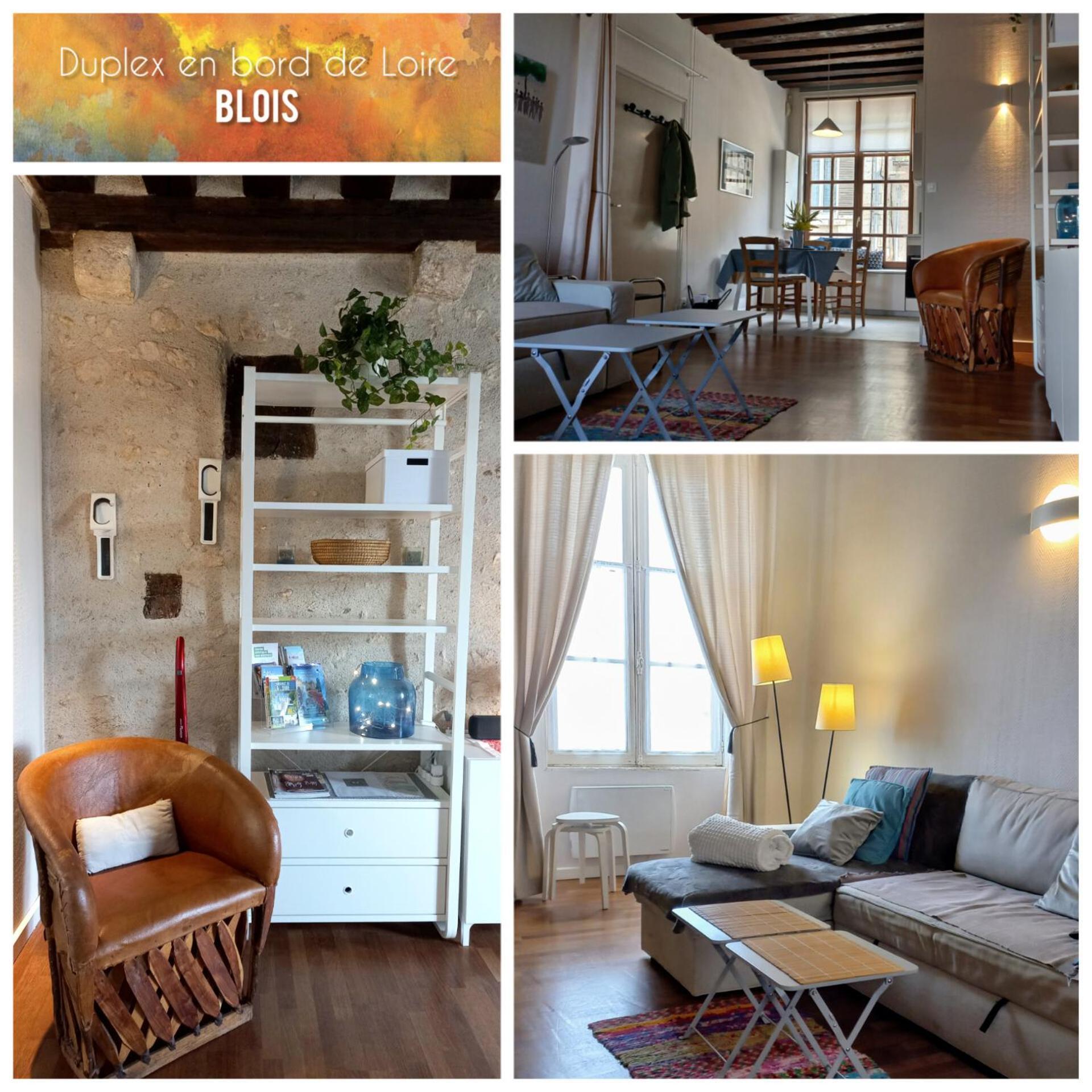 Apartament Duplex 60 M2 Bord De Loire Blois Zewnętrze zdjęcie